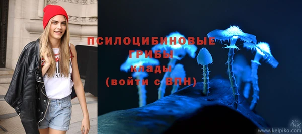 тгк Козельск