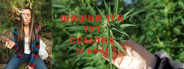 тгк Козельск