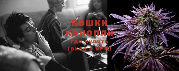 тгк Козельск