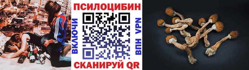 Купить где  Райчихинск  Псилоцибиновые грибы GOLDEN TEACHER 