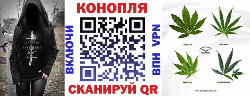Купить закладки  Райчихинск  Шишки марихуана LSD WEED 